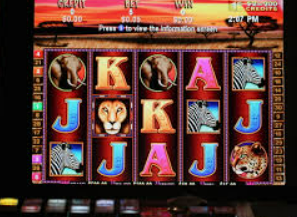 天庭娱乐3621官网版正式版