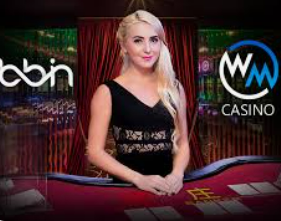 天庭娱乐3621官网版手机版